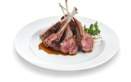 Lamb